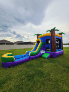 Bounce House with Slide Rentals Celebration